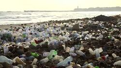 polluted beach with plastic bottles Stock Footage