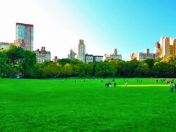 Central Park NYC. Stock Footage