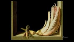 Juan Sanchez Cotan - Dialectics No.5 minimum/maximum Stock Footage