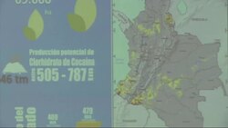 Cocaine production potential up 46% in 2015 Instructional Video
