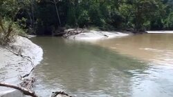 Rio Villano in the Ecuadorian Amazon Stock Footage