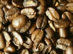 Spinning Coffee Beans. HD Stock Footage