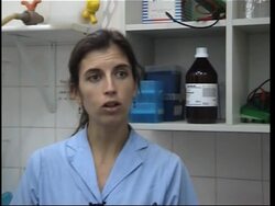 Scientists work on vaccine for foot-and-mouth disease News Clip