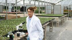 Confident botanist analyzes plants in greenhouse Stock Footage