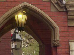 ATMOSPHERE - Harvard University campus Stock Footage