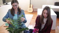 Nurture plants Stock Footage