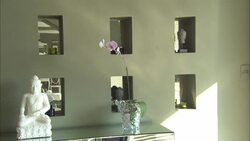 An orchid and Buddha statue decorate a room in La Maison Hotel. Stock Footage