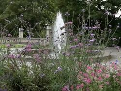 Fountain and roses in a park. Stock Footage