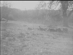 THE SPIRIT OF FRANCE - News Clip