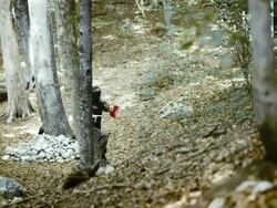 Paintball Player Running Stock Footage