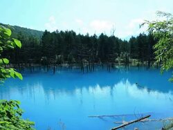 WS View of blue pond in beautiful forest  / Furano, Hokkaido, Japan Stock Footage