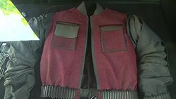 VOICED : El auto de Marty McFly llega al futuro en Chile News Clip