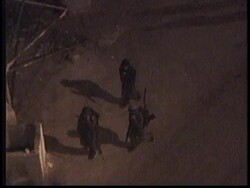 ISRAEL: JEWISH SETTLERS CLASH WITH ISRAELI SOLDIERS IN HEBRON News Clip