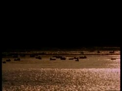MS Silhouetted ducks on rippling sunlit water at dusk, India Stock Footage