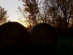 CU of the sunrise at sugar beet plant, with hay rolls in foreground. Stock Footage