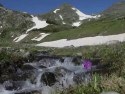 Clear mountain creek Stock Footage