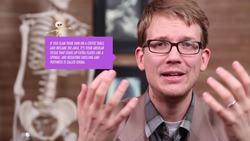 Tissues, Part 4 - Types of Connective Tissues: Crash Course A&P Instructional Video