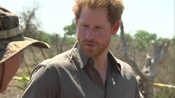 Prince Harry Visits Kruger National Park News Clip