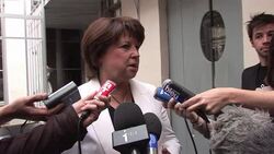 CLEAN: French party chief 'stunned' by Strauss-Kahn arrest News Clip