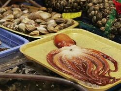 PAN Large dead octopus next to tanks of live octopus and shellfish at Noryangjin Fish Market / Seoul, South Korea Stock Footage