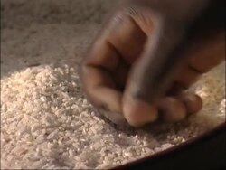 Food shortage crisis, Niger, West Africa. Stock Footage