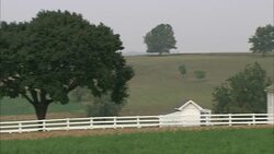 A fence lines the front of an Amish school. Stock Footage