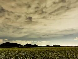 WS T/L ZI View of sky moving on buckwheat flower bed and mountain / Jeju, Jeju Island, South Korea Stock Footage