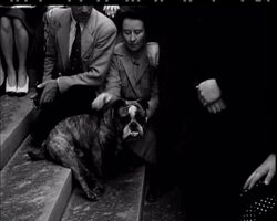 CHURCHILL TO CONGRESS - News Clip