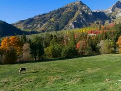 "Fall Mountain Scene" Also see: Stock Footage