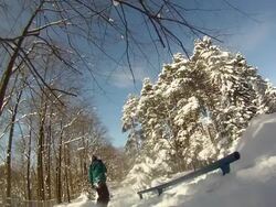 A young man snowboarding through trees and doing a rail slide trick. - Slow Motion - Model Released - HD Stock Footage