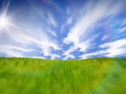 Summer field video Stock Footage