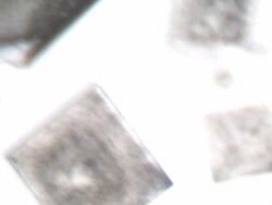 Salt crystallizing Stock Footage