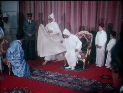 PEACE MARCH- COLOUR News Clip