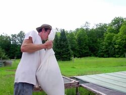 MS SLO MO PAN Shot of Young farmer lift bag of feed for chickens in tractor/coop at organic farm. / Chatham, Michigan, United States Stock Footage