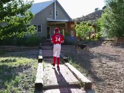 MS Shot of young baseball player walking up to his home with dog / Santa Fe, New Mexico, United States Stock Footage