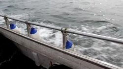 View over the side of a boat Stock Footage