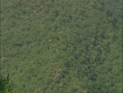 Pan left across from forested mountains to watch tower on Great Wall of China, Mutianyu, China Stock Footage