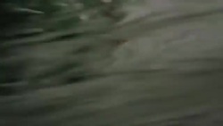 CLEAN : Olympics: Sea monsters no sweat for Japan's teen surf queen News Clip