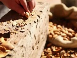 Peeling almonds Stock Footage