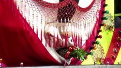 VOICED : Los polemicos cerdos gigantes de Taiwan News Clip