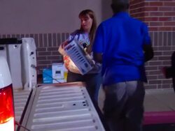 Black Friday shoppers at Best Buy Stock Footage