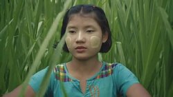 M/S SLO MO Myanmar teenage girl looking between the reeds / high grass Stock Footage