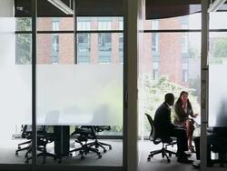 WS PAN group of three coworkers in discussion in glass walled conference room/Seattle, Washington, USA Stock Footage