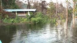 VOICED: Borneo mega-dam 'nail in the coffin' for local people News Clip