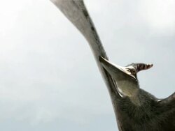 Medium pan-left zoom-in zoom-out - A Pterosaur flies below clouds in a computer-generated animation. / Denver, Colorado, USA Stock Footage
