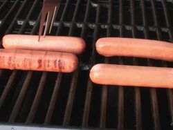 Hot Dogs Stock Footage