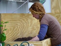 MS SLO MO Shot of young red hair woman in greenhouse, preparing soil for planting / Chatham, Michigan, United States Stock Footage