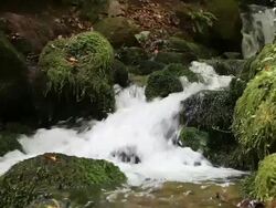 Waterfall Stock Footage