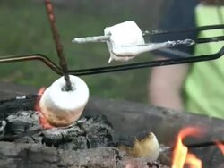 HD: Campfire and Marshmallows Stock Footage