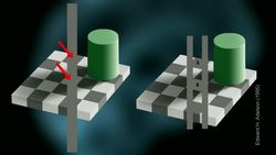 TED: Your brain hallucinates your conscious reality | Anil Seth Instructional Video